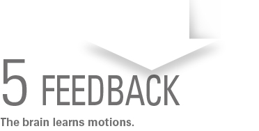 5 FEEDBACK / The brain learns motions.